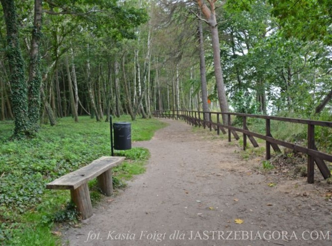 Szlak pieszy koroną klifu w Jastrzębiej Górze