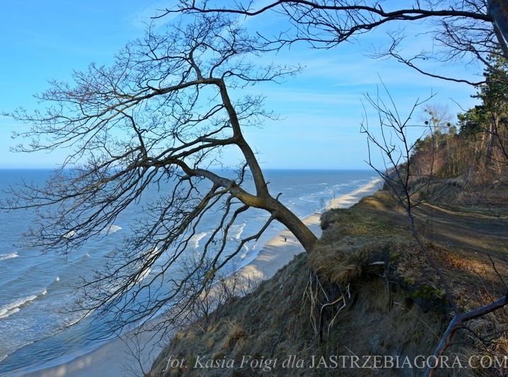 Klifowe wybrzeże w Jastrzębiej Górze