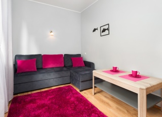 Apartament- pokój wypoczynkowy z balkonem i garderobą