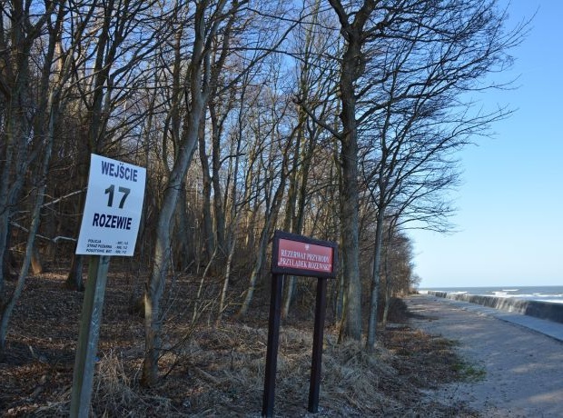 Przylądek Rozewie - miejsce, które warto zobaczyć!
