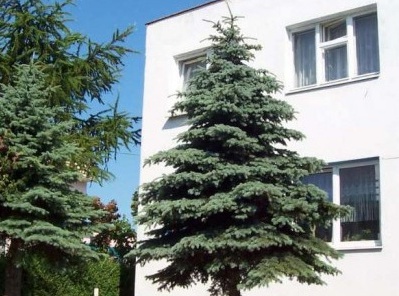 Sprzedaż - Bliźniak - 138m2 