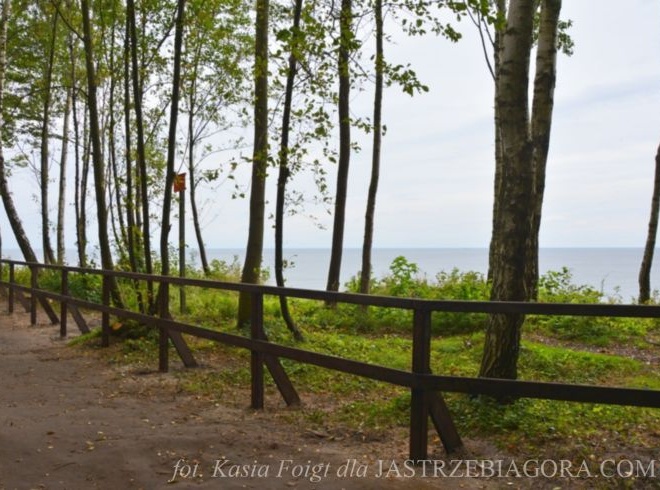 Szlak pieszy koroną klifu w Jastrzębiej Górze