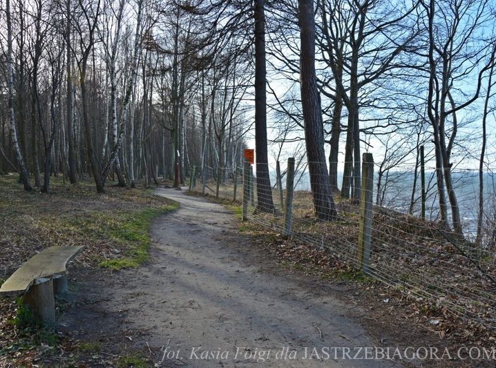 Klifowe wybrzeże w Jastrzębiej Górze
