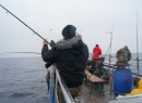 Wędkarstwo morskie Feniks i Rebok