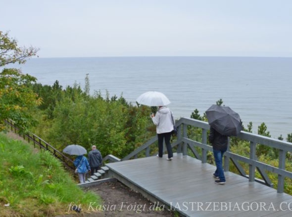 Szlak pieszy koroną klifu w Jastrzębiej Górze