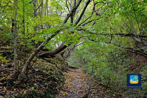 Lisi Jar znajduje się na obszarze Nadmorskiego Parku Krajobrazowego.