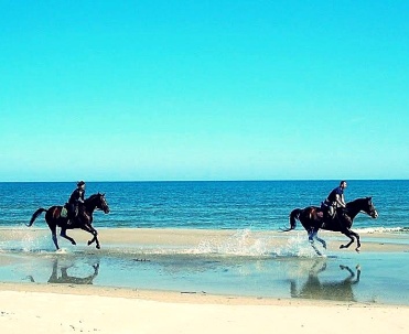 Jazda konna po plaży.