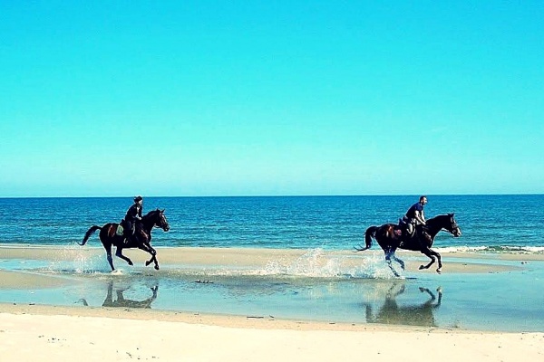 Jazda konna po plaży.